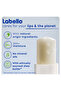Lip Care, Moisturizing Lip Balm, Original with Shea Butter, 4.8g - 6