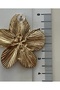 Modern/Gold Plated Cartilage- Flower Earring Set - 4