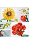 Lz1659 Loz Flower Blocks 568 Pieces - 4