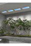 Skylight - 2