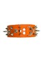 Fancy Dog Guard Collar - 4