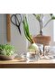 KORKEN Jar with Lid, Clear Glass, 0.5L – Airtight & Durable Storage | IKEA - 5