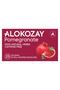 Pomegranate Tea - 25 Tea Bags in Foil Wrapped Envelopes X Pack of 24 - 2