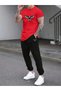 Trendy Clothing Birds of Prey Print Bottom Top Tracksuit Set Oversize Crew Neck - 6