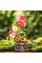 Flower Music Box Set, Decorative Building and Toy Kit with Botanical Collection - 5