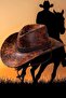Unisex Vegan Leather Cowboy Hat