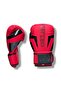 Profesyonel Boks Eldiveni Mat CYCLONE - 2