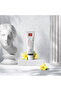 Professional White Plus Whitening Natural toothpaste with Enamel care, 100ml - 6