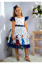 Birthday Party Dress with Elsa Print Buckle - 4