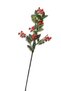 Berry 74 cm Sarı - 3