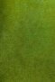 Barcelona Velvet-Textured Backdrop Curtain in Leaf Green (Without Pleats) - 5