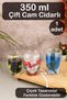 Double Glass Skin Tumbler 350ml Floral Decorated Heat Resistant Tumbler