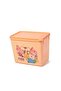 small plastic storage box
