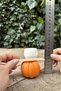Pumpkin Kabak Orta Silikon Mum Kalıbı - 8