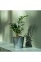 BINTJE Plant pot, galvanised, 9 cm - 4