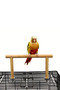 Wooden Parrot Stand Durable for All Bird Species - Play & Cage Accessory - 4