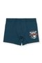 Boys' Cotton Printed Comfortable Cut Lycra Boxer 3-Pack 3510 Colorful - 2