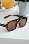 Royal Eyewear Re1009 Dark Brown Sunglasses - 3