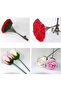 298Pcs Green Flower Wire 2mm 36Cm _ Making Bouquet Pastry supplies Handle Wholesale Thick Branch - 6