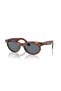 2242 954/3R 50-22 Unisex Sunglasses