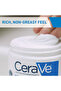 Moisturizing Cream Face & Body 340 Gr - 5