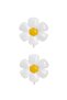 Daisy Macaron Balloon Set and Money Foil Balloons 1 Year Old - 2