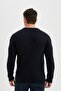 Standard Fit Regular Cut Crew Neck Textured Knitwear Sweater C8814Ax24Wn - 6