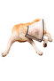 Dog Conical Collar Velcro Neck Collar Akalite - 8