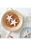 Starfish - Sea Horse - Oyster and Snail Shell Set of Four Cookie Mold - 5
