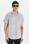 Men's Regular Fit Classic Cut Short Sleeve Cotton Single Pocket Dobby Brown Shirt