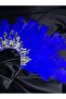 Handmade Zircon Stone and Black Feather Henna, After, Party, Special Day Crown - 2