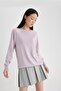 Crew Neck Soft Textured Raglan Sleeve Knitwear Sweater - I6913Az24Wn - 4