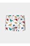 Lcw Kids Elastic Waist Boys' Boxers 3Pcs - 3