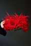 Glass Beaded Rose Feather Princess Bridal Henna Crown - 2