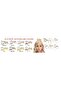 Birthday Queen Crown Silver - Birthday Concept - Party Supplies - 2