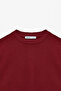 Ollie Men's Crew Neck Regular Long Sleeve Embroidery Detailed Burgundy Sweatshirt - 2