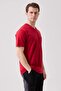 Galanthus V-Neck T-Shirt - Breathable, Comfortable and Stylish Design - 2