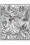 Bugs Magic Painting Book Publishing - 4