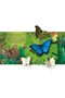 Pop-Up Book Butterflies - 6