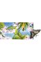 Pop-Up Book Butterflies - 3