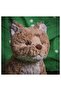 SKOGSDUVA Soft toy, lynx/orange brown, 63 cm - 3