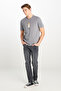 100% Cotton Regular Fit Regular Cut Crew Neck Printed Gray T-Shirt - 3