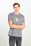 100% Cotton Regular Fit Regular Cut Crew Neck Printed Gray T-Shirt