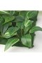 FEJKA Artificial Wall Plant Panel Green/Lilac 26x26 cm – IKEA Indoor/Outdoor Decor - 5