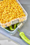 Practical 2 Tiers Storage Container Refrigerator Organizer Multi-Purpose Storage Container - 3