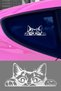 Cat Looking from the Trunk Auto Car Glass Sticker Decal for Computers, Trucks, Motorcycles - 3