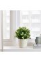 SESAMFRÖN Plant pot, in/outdoor off-white, 9 cm - 5