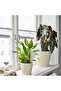 SVÄMSKOG Self-watering insert, terracotta/transparent, 25 cl - 3