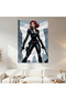 Black Widow Wall Drape Wall Tapestry First Quality Satin Fabric Poster