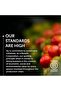 Whole Bean Coffee, Intenso Bold Roast - Bold & Flavorful - 100% Arabica Pack Of 12 - 4
